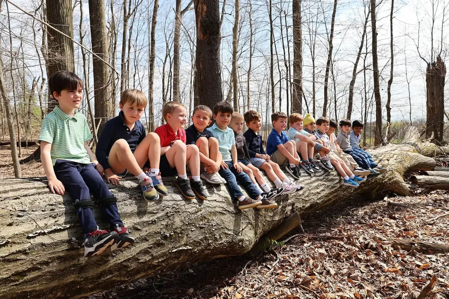 Lower School students sit on the trunk of a felled tree in woodland.