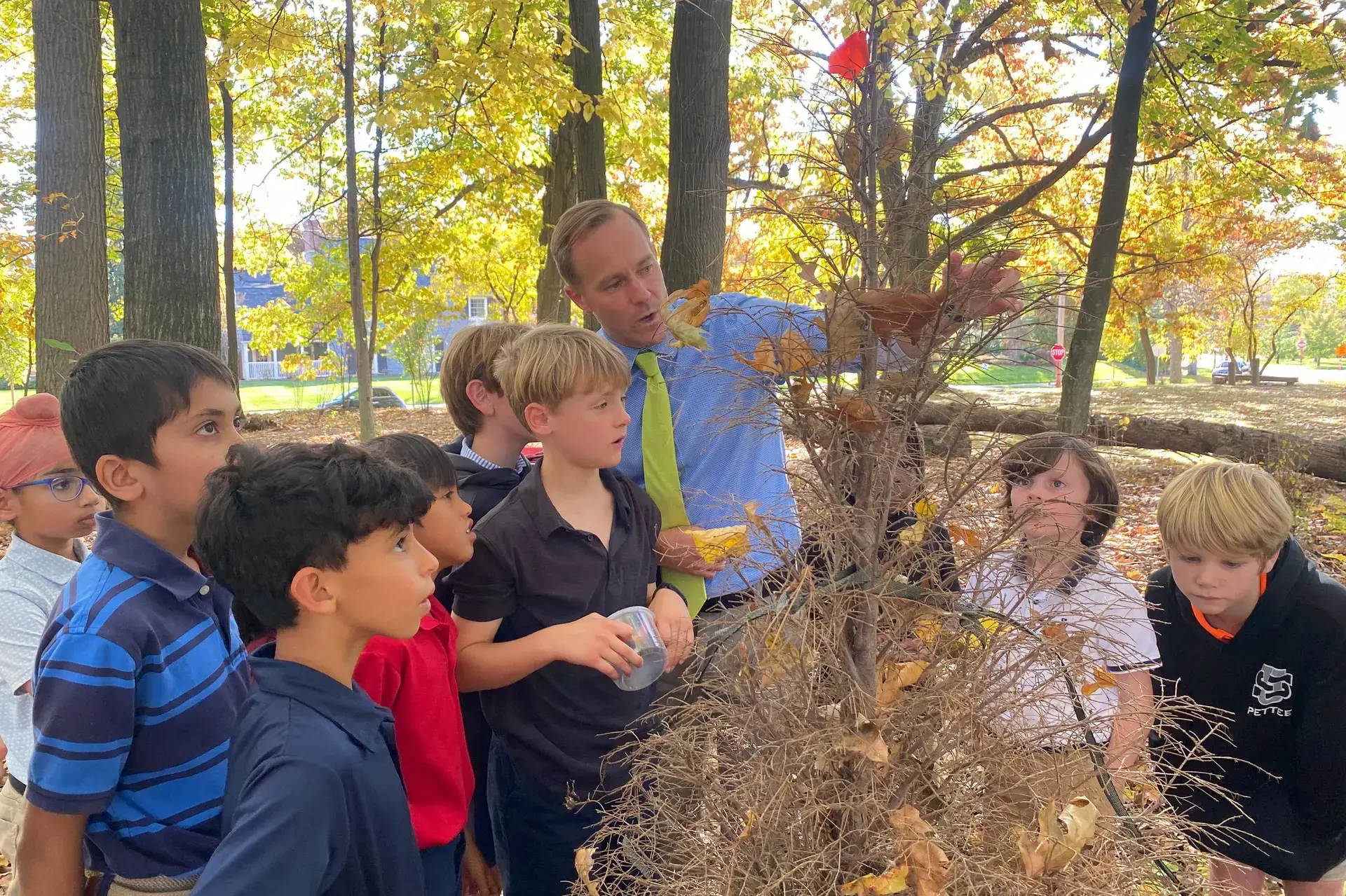 University School Lower School students in the Arboretum on the Shaker Campus studying the insect life inhabiting a dying tree at Entomology Club.
