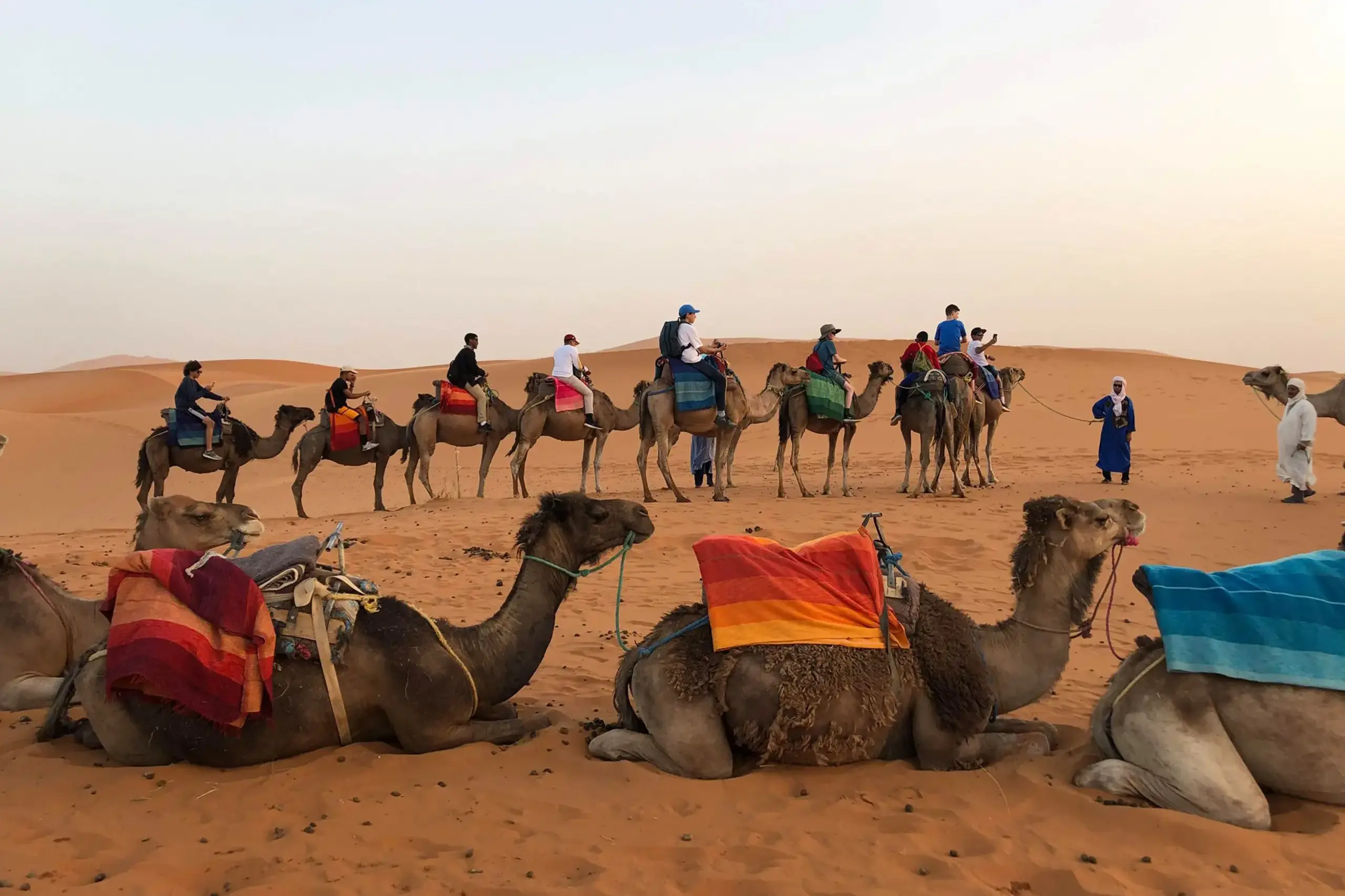 University School students riding camels in Morocco on a National and Global Education Program field trip.