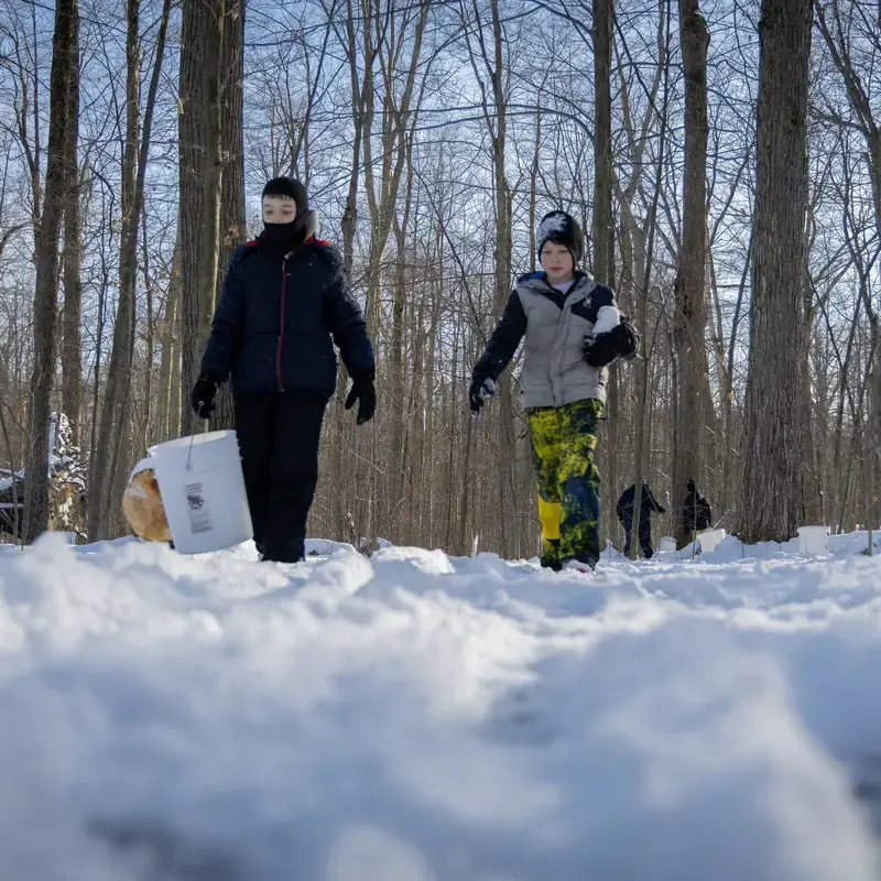 University School students walking through the snow together, carrying buckets, going maple sugaring.